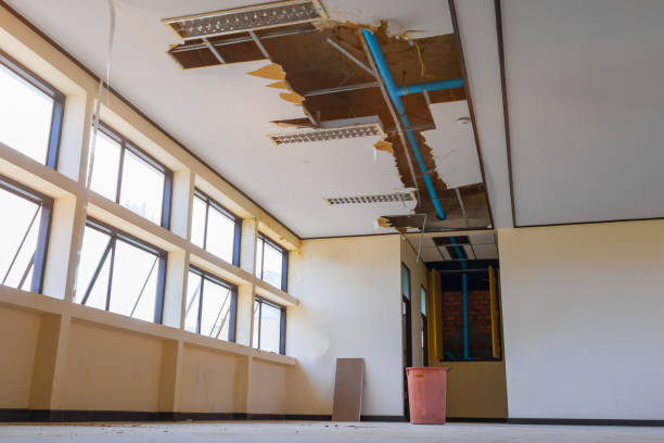 Best Emergency water damage restoration  in Wagener, SC