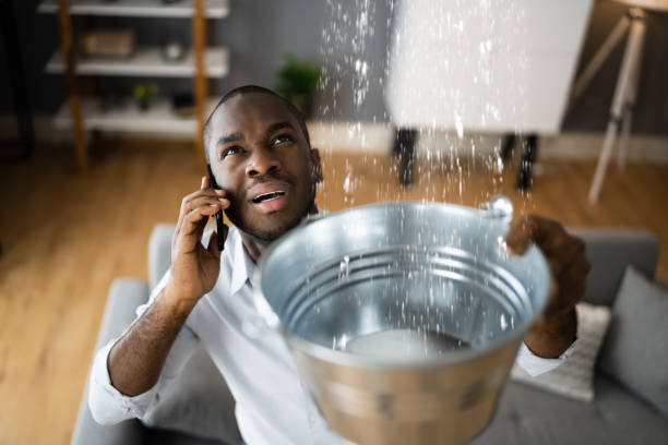  Wagener, SC Water damage restoration Pros