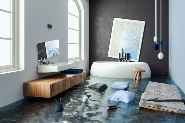 Best Local water damage restoration  in Wagener, SC
