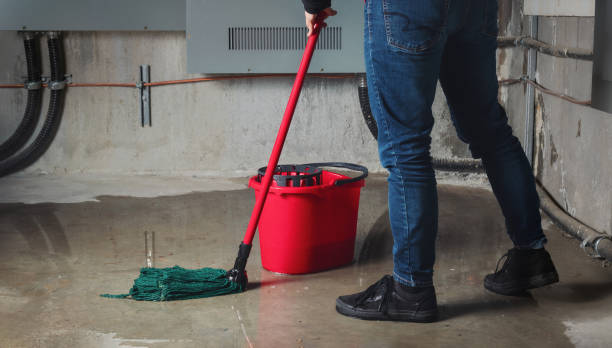 Best Water damage mitigation services  in Wagener, SC