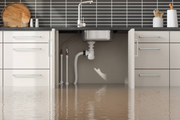 Reliable Wagener, SC Water damage restoration Solutions
