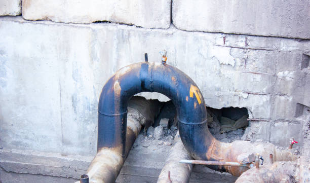 Best Carpet water damage restoration  in Wagener, SC